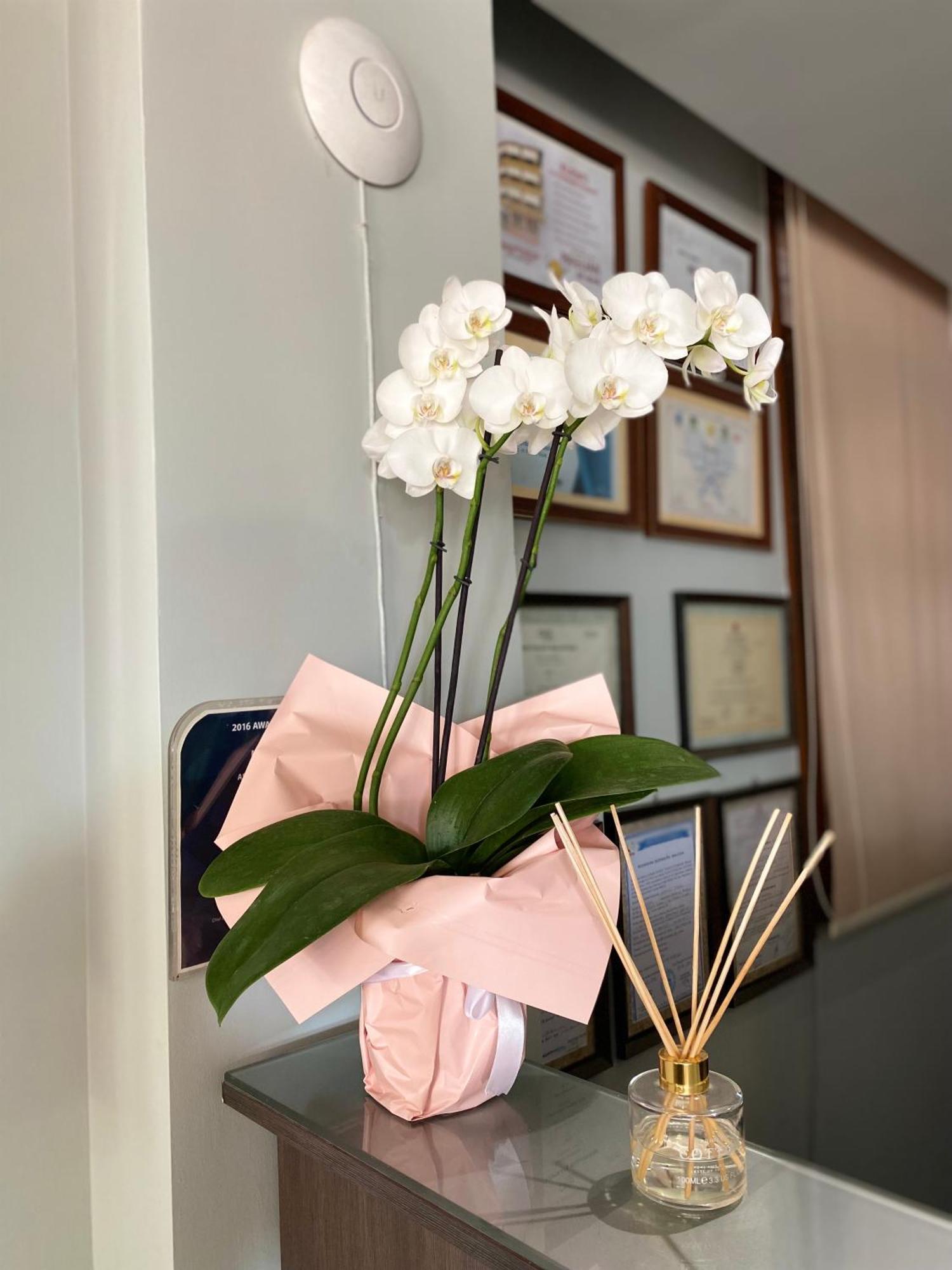 Vlorë Hotel Bojko מראה חיצוני תמונה